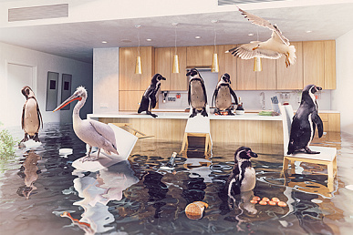 Оценка для определения ущерба